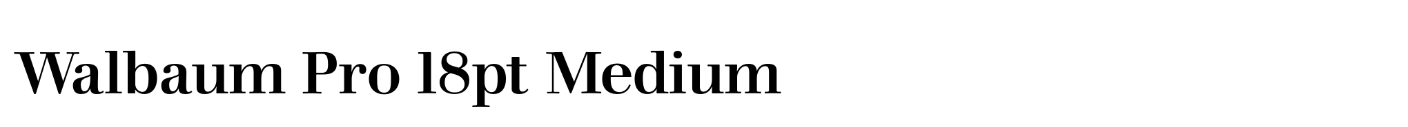 Walbaum Pro 18pt Medium image